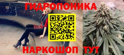 PSILOCYBIN Свободный