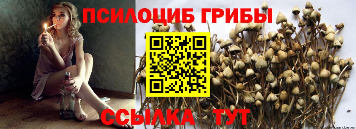 Галлюциногенные грибы мицелий Урюпинск